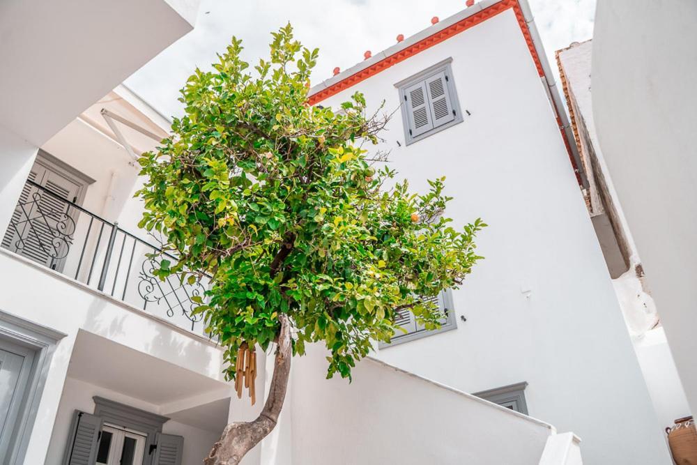 Lemon Tree - Hydra Dream Houses Zewnętrze zdjęcie